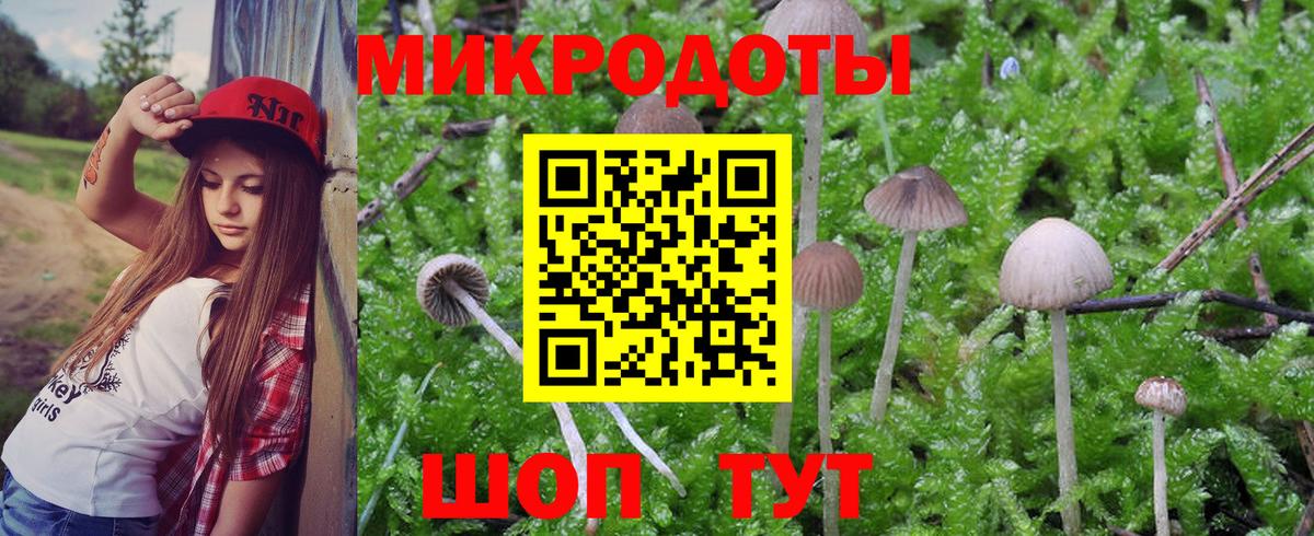 Псилоцибиновые грибы MAGIC MUSHROOMS  Вход с VPN  Абакан 