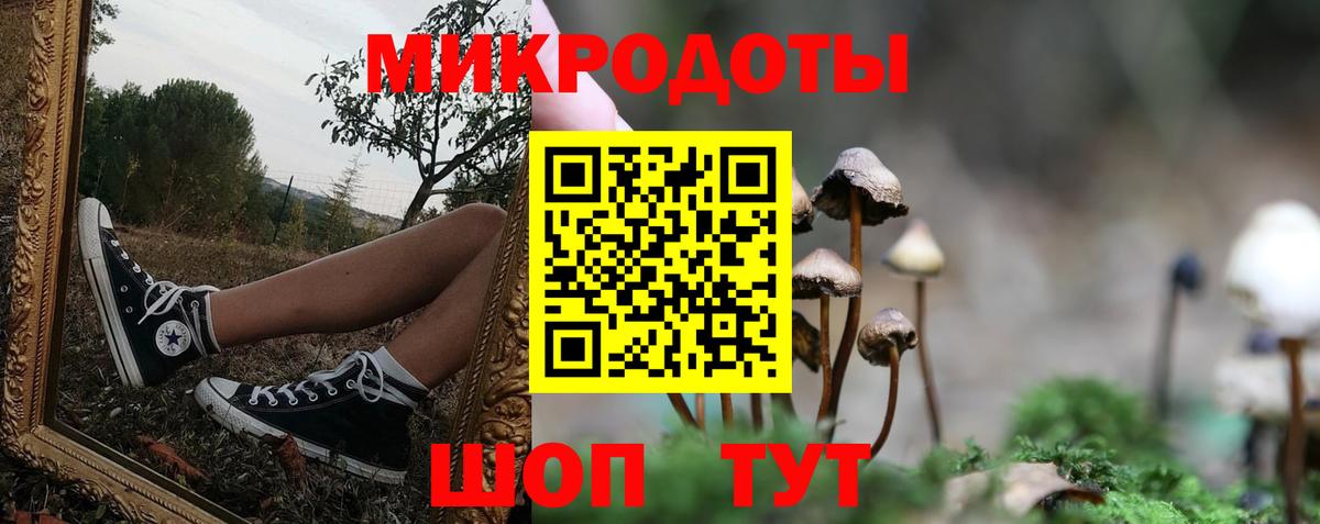 Галлюциногенные грибы Magic Shrooms Абакан